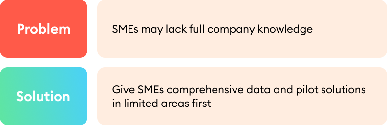 Challenges and limitations of SMEs